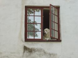 greenfully:  Found this adorable photo from 2008 when my parents visited Norway 