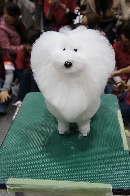 coliseums: upupupuprincess: Dog grooming show in Japan im fucking screaming