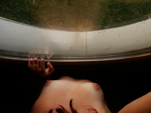 wisetigress:  Tigress by self // [Reblogging ok with the caption intact] 
