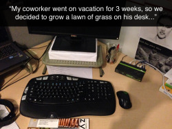 folk-punk:  tastefullyoffensive:  Grass Desk