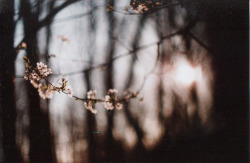 grett:  untitled by daelimae on Flickr. 