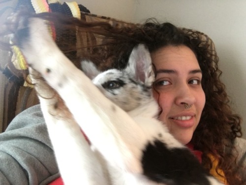 Yes Hello 911 My Dog Is Fucking Crazy