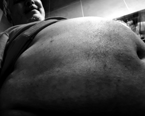 Black And White Obese Hog