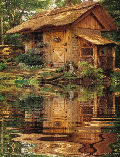 specialformytaste:  http://specialformytaste.tumblr.com/archive   Source: pleiadian-starseed.com   
