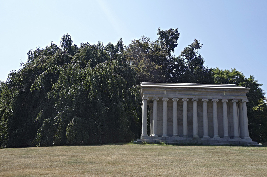 Weeping Beech
Woodlawn Cemetery
The Bronx
This is the tree that inadvertently started me on the Great Trees of NYC quest. I periodically lead tours at Woodlawn Cemetery in the Bronx, and it was while researching this huge weeping beech tree that I...