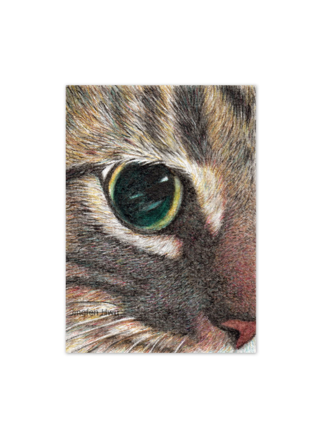 canvaspaintings:  Close-up cat face drawing original ACEO —I’m Ignoring You—eye