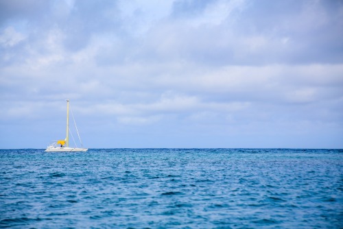 Calm Waters: West Bay, Roatan - Honduras