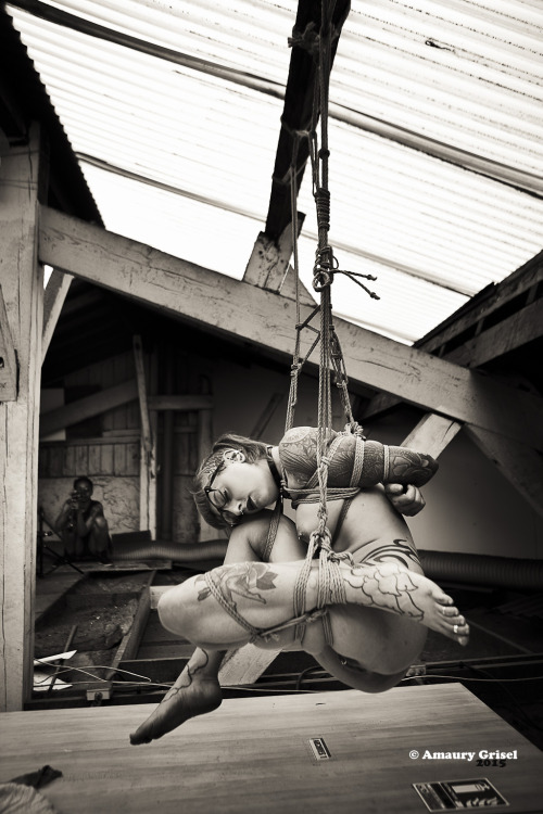 amaury-grisel-shibari:   Bliss & TallulahPhoto and kinbaku : Amaury Grisel