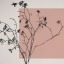 les-soucis-de-madame-butterfly