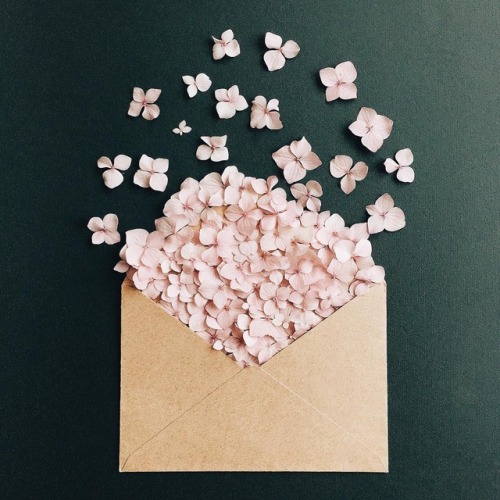 bedenehapsedilenruhlar: Instagram: @artwoonz Twitter: @artwoonz_ ngsbahis new way to send flowers&a