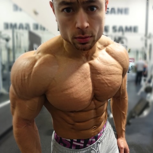 Bodybuilder, Matt Ogus