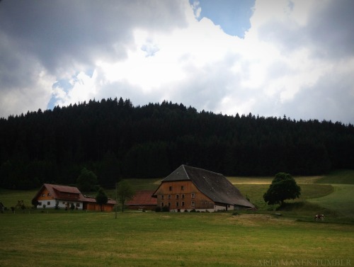 Driving through the Black Forest. Schönwald im Schwarzwald, Juni 2014.