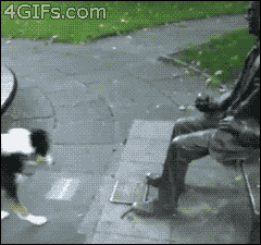 For animated GIFs