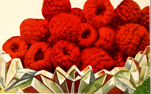 nemfrog:“The finest everbearing raspberry.” Henderson’s everything for the garden. 1943.Internet Archive