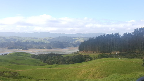 New Zealand is spectacular. My partner and I hiked around Mt Doom, swam in countless hot springs and