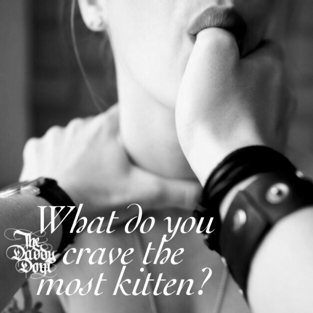 things for my kitten
