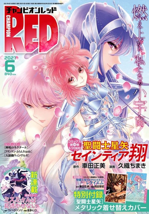 Saint Seiya Zone Champion Red 21 06