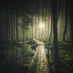 abandonedandurbex:  Swamp at night [1000x1000]Source: https://openpics.aerobatic.io/