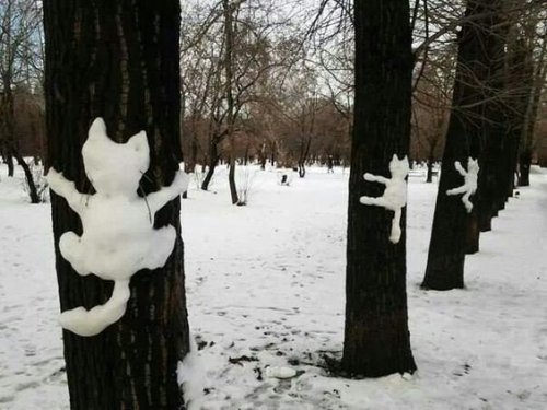 bibidebabideboo:“猫が木に”(ミライノシテン-デザイン・アート(@mirainoshiten_6)さん | Twitterから)