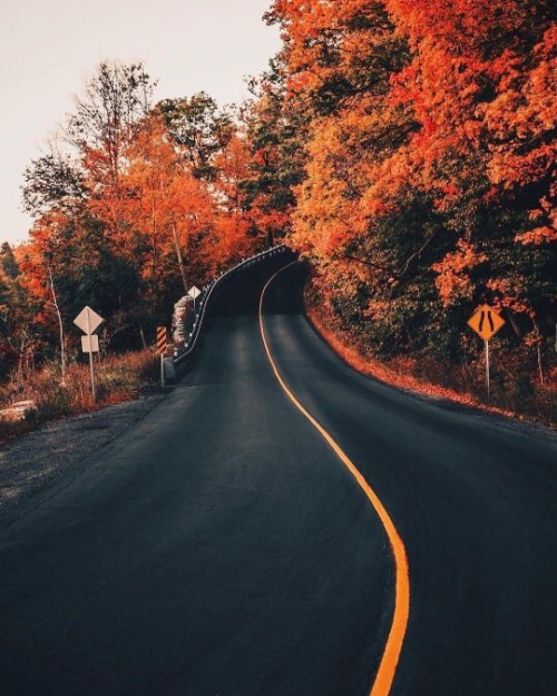 white-pumpkin:  autumn roads