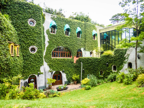 pikatru:mystayintokyo:Studio Ghibli Museum and Inokashira Parksomeone take me here