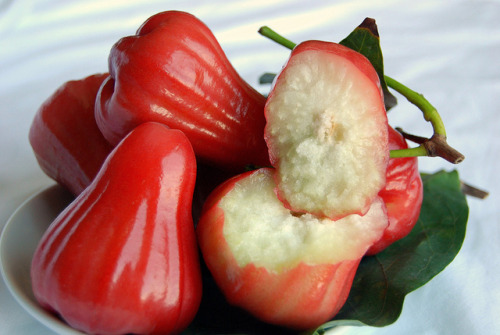 jakegyllenhaalsraisinhellshirt2:vision board of cool looking produce: pitaya (dragonfruit), poha ber