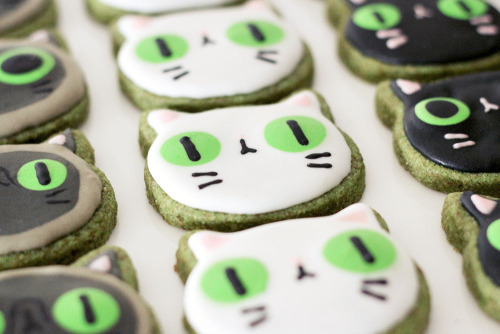 Porn Pics joy-ang:  Made some green cat cookies for