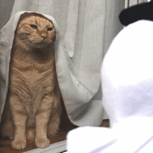 chikuwathecat:  chikuwathecat:Ghost: Trick or treat !Chikuwa: What do you want ?Ghost: