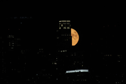 highways-are-liminal-spaces: The Sturgeon Moon rises over Chicago