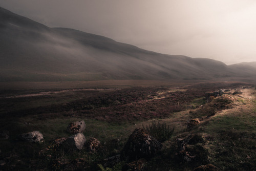 frederick-ardley:  Sun - Fog - Sun - Fog Photographed by Frederick Ardley Follow on Instagram @frederickardley 
