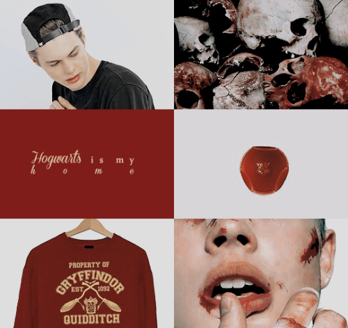 the foxhole court hogwarts au: Danielle Leigh Wilds, Muggle-born, Gryffindor Seeker & CaptainKev