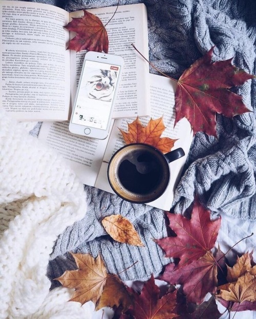 autumnwintervibes:  Hello Autumn 🍂