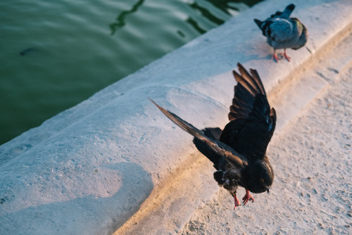 578-584: Evening at the Tuileries