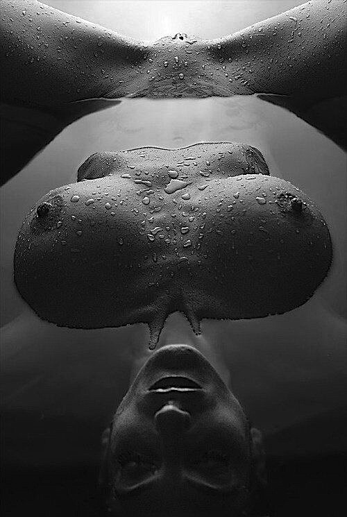soilbug:  la-latingirl:  the ultimate creation, the female body.  Reblog… Follow…