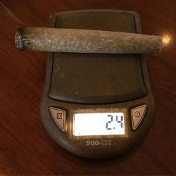 weedporndaily:  #goodmorning #joint #burning