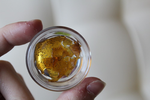 velocirapt0r:  Smoking some of the medicinal high CBD shatter one of my bosses gave me for Christmas!