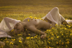 Bigboydownunder:  Follow Me On - Bigboydownunder.tumblr.com - For More Classy Nudes
