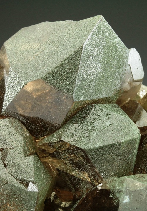 Smoky Quartz with Chlorite - Giuv Valley, Tujetsch, Vorderrhein Valley, Grischun (Graubunden), Switz