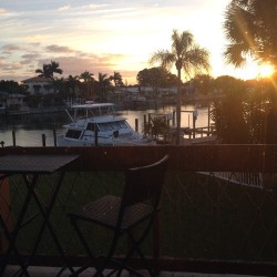 Day 25: morning. #sunrise #morning #day25 #christmas #photoaday #december #decemberchallenge #myview #ocean #boats #palmtrees #florida #stpete #challenge