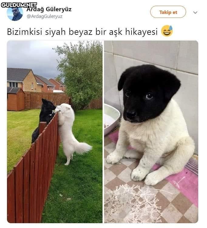 Bizimkisi siyah beyaz bir...