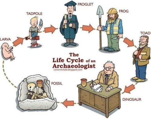 irisharchaeology:The Life Cycle of an Archaeologist by the always excellent Conor McHaleSource
