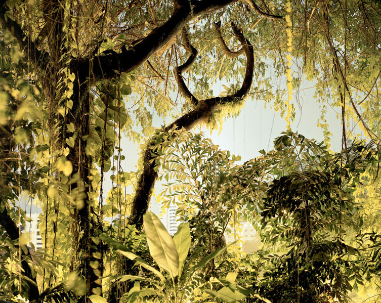museumuesum:  Peter Bialobrzeski Paradise Now, 2009 C-Prints, 126 x 160 cm each
