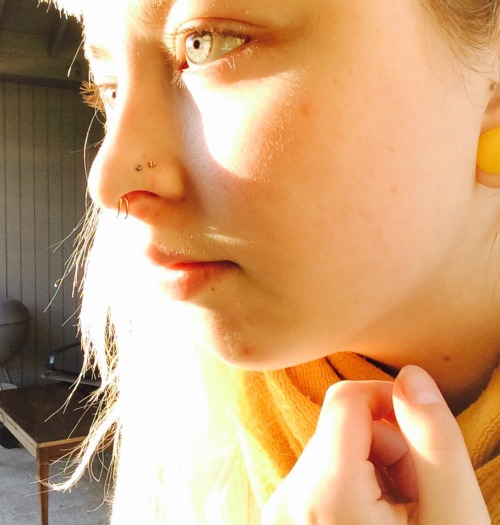 the-foreign-stetson:New conch piercing. Rose gold in my nose and stretched ears. Rare winter sunshin