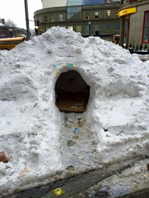 stunningpicture:  The homeless of Cambridge never cease to amaze me.