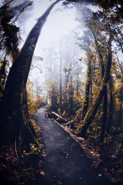 touchdisky:  Eungulla National Park, Queensland