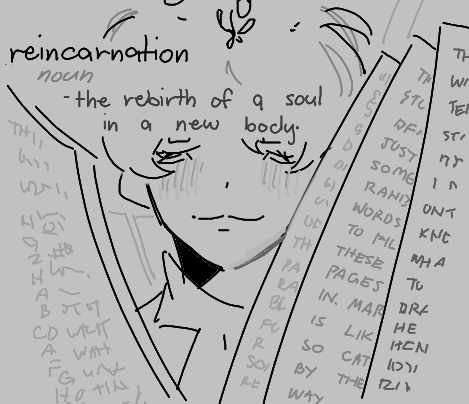 Reincarnation (noun)
- the rebirth of a soul in a new body.
The definition of Reincarnation is written in front with Mariella behind it. Around her are scripts.