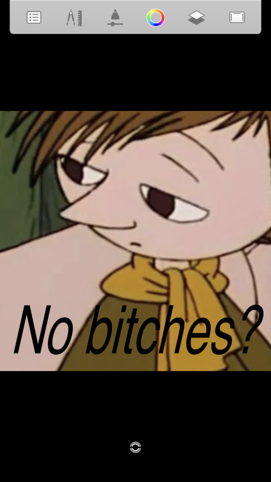 Here Is My Snufkin Versions Of The No Bitches? Meme- I Thought The Photo Fit Well