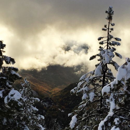 danielodowd:  Andrew Wilson