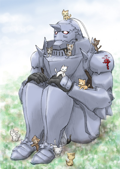 afgunst:  ねこがいっぱい   