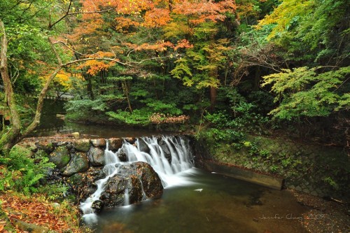 godshideouscreation:  by   Jennifer 真泥佛 * Taiwan  